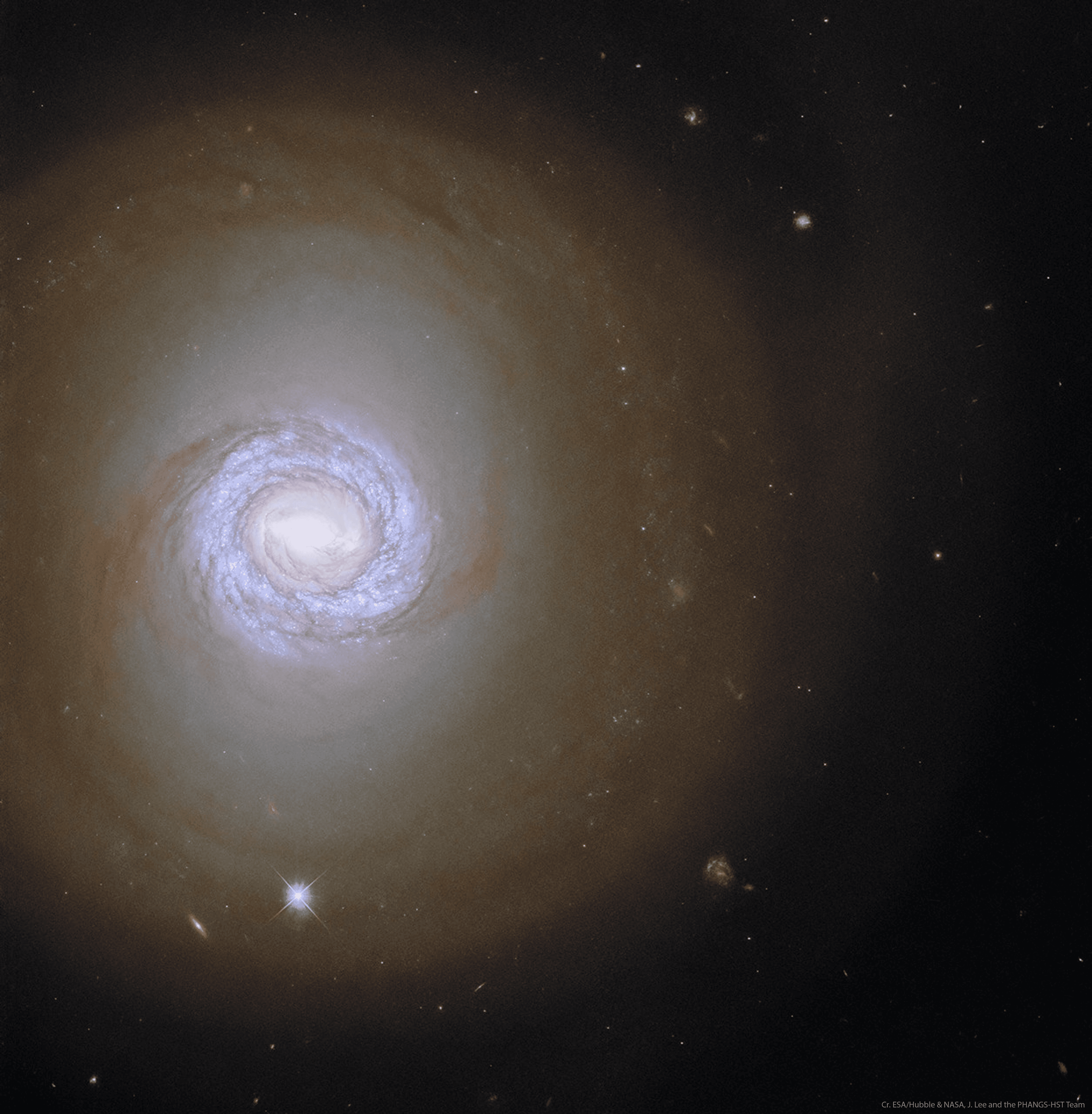 กล้องโทรทรรศน์อวกาศฮับเบิลเผยภาพ NGC 1317 กาแล็กซีประเภทกังหัน (spiral galaxy)