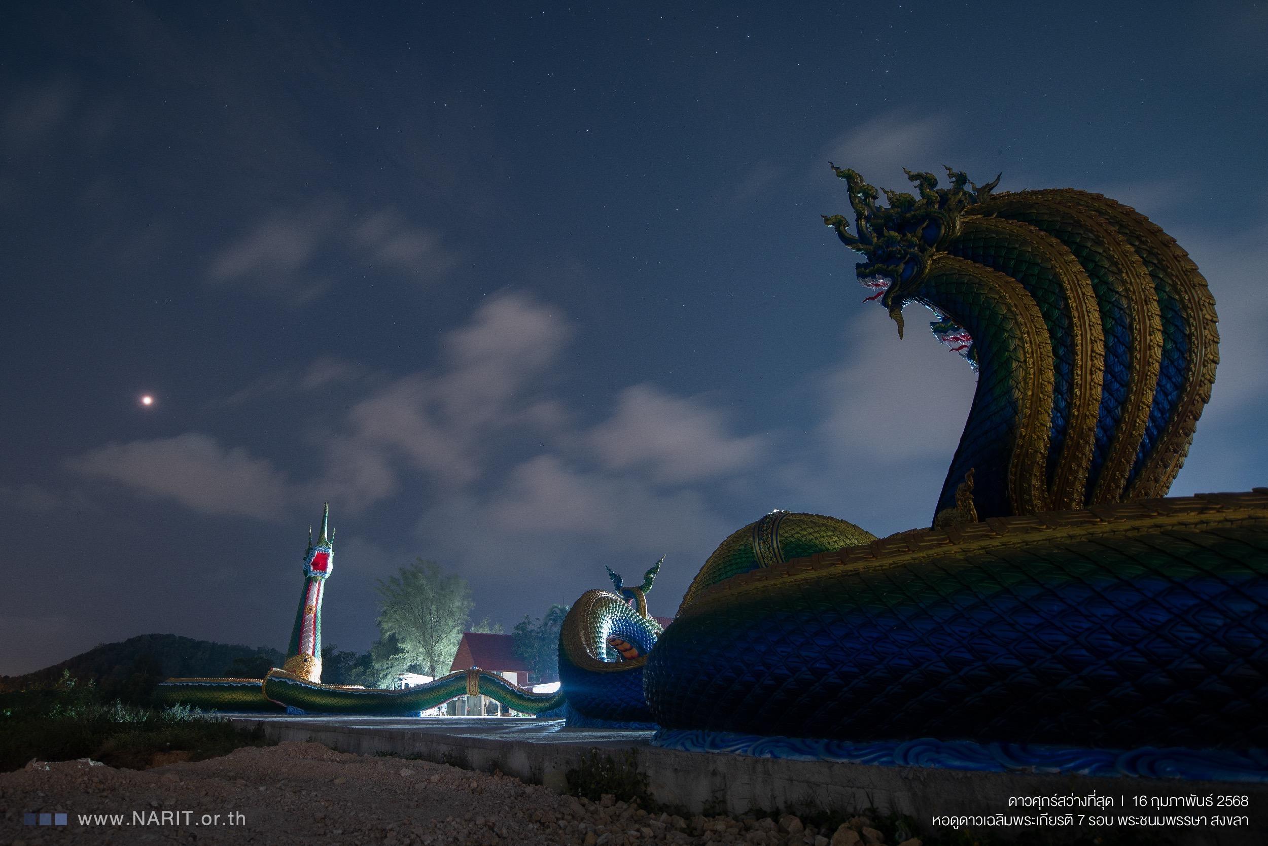 image-showcase