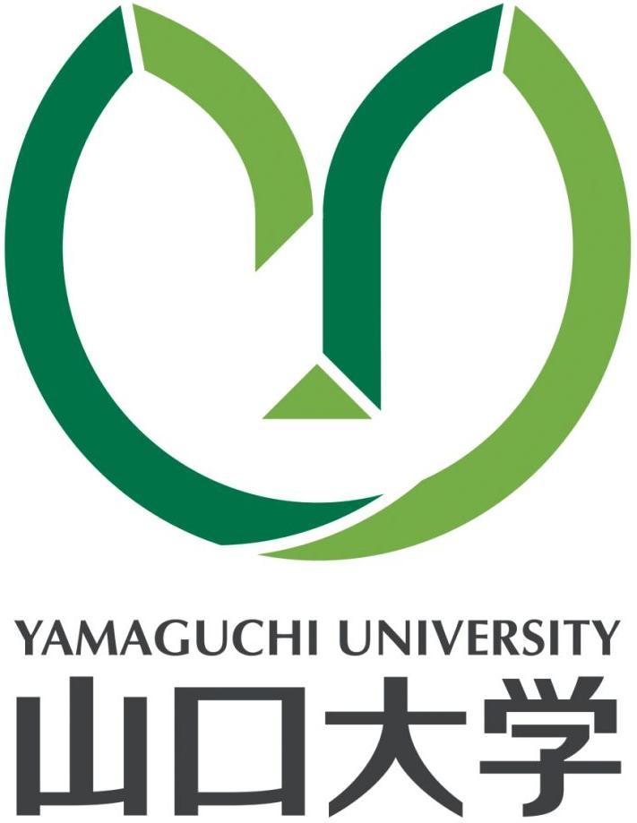 image-icon