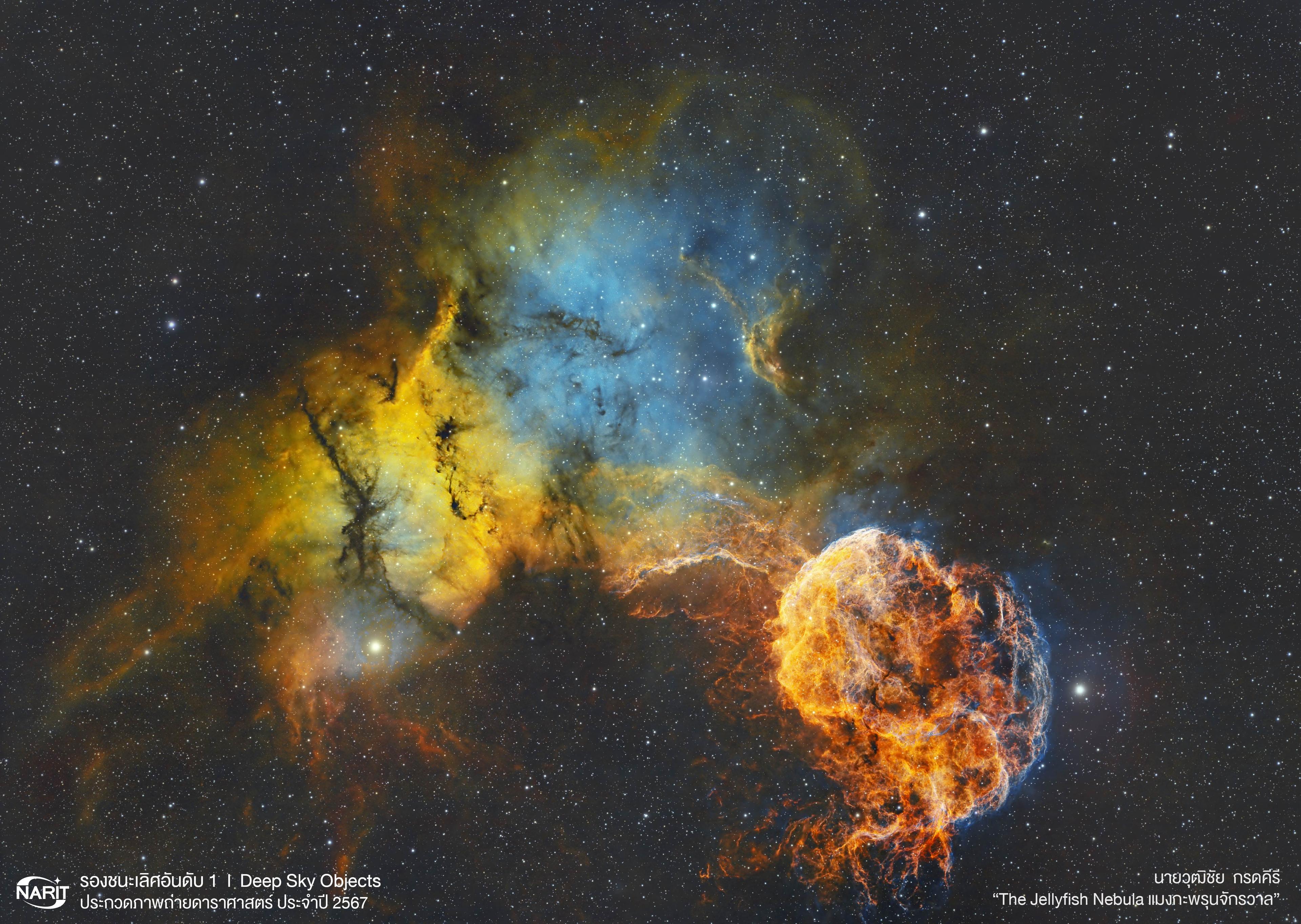 The Jellyfish Nebula