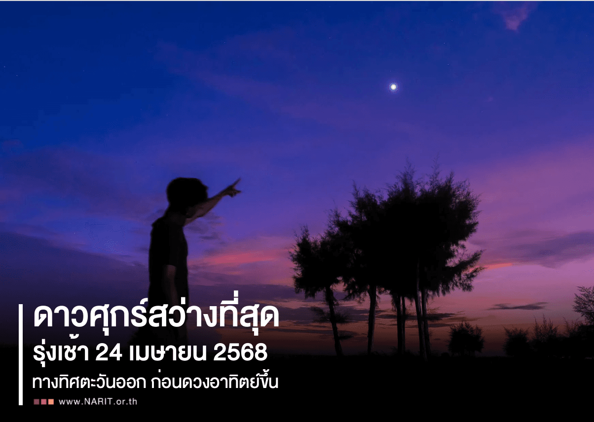 24 เมษายนนี้ ดาวศุกร์สว่างที่สุด ช่วงเช้ามืด