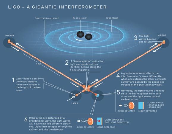 The TNT 2.4 meter telescope under the race of GW sources