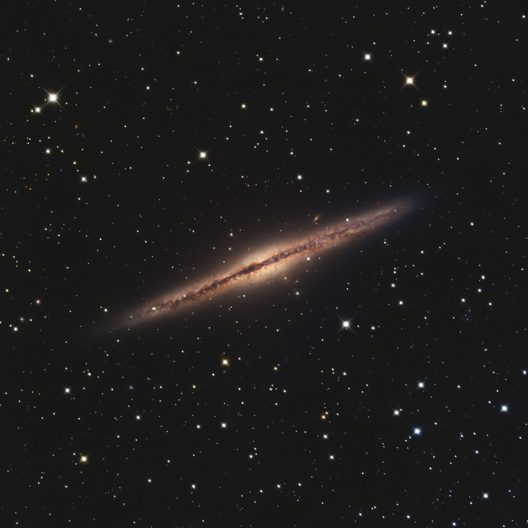 NGC 891 LRGB