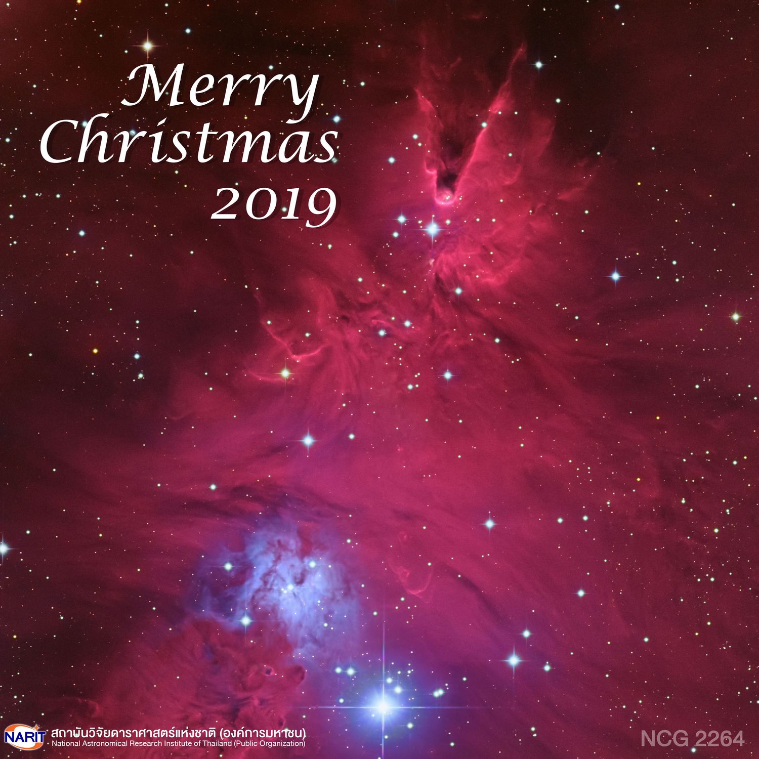  Cone Nebula, and the Christmas Tree Cluster