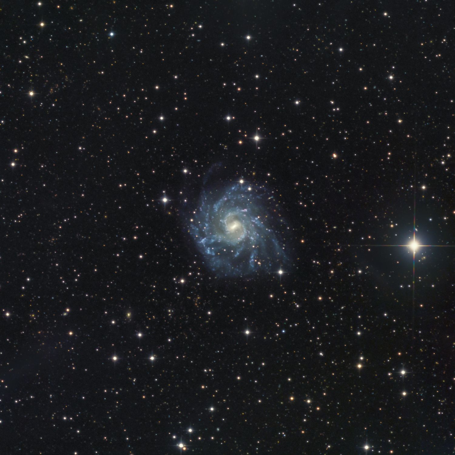 NGC 7424 LRGB